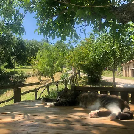 Montepolo Canavaccio di Urbino