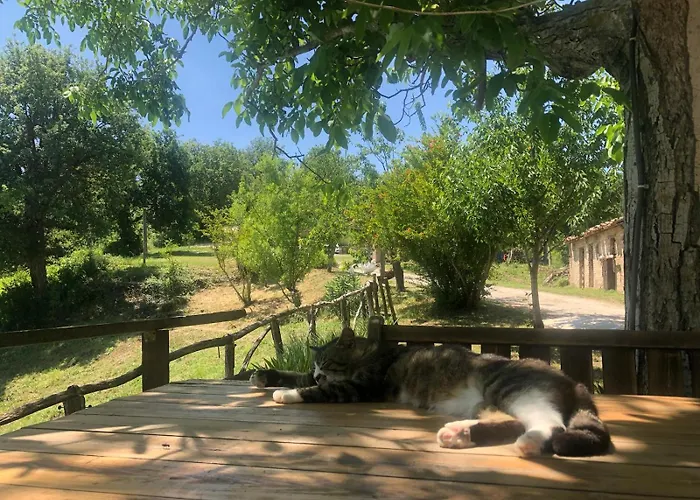 Montepolo Canavaccio di Urbino